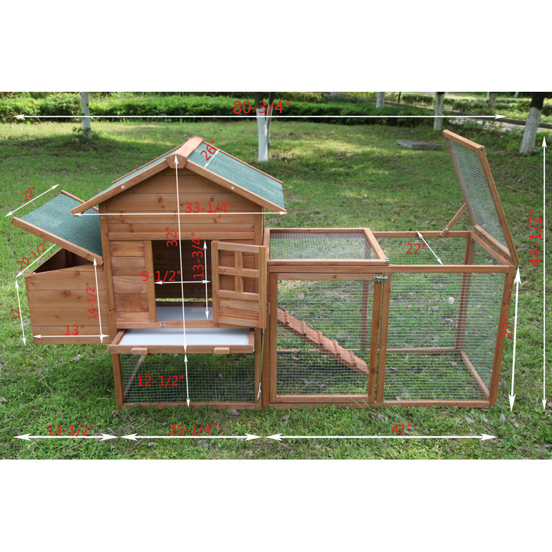 Tucker Murphy Pet™ Zebediah 12 Square Feet Chicken Coop with Chicken